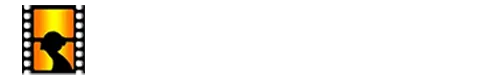 DomingoNetwork.com Logo
